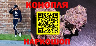 дурь Гай