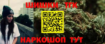 дурь Гай