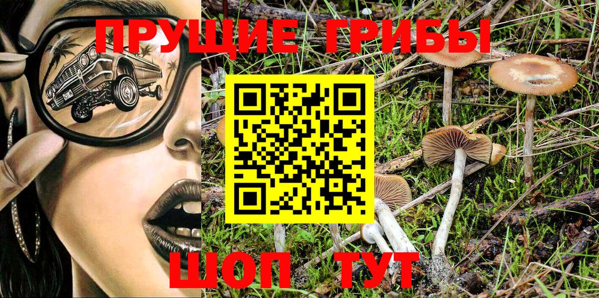 Тимашёвск  Галлюциногенные грибы Magic Shrooms  Вход с VPN 